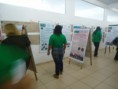 /album/pnaic-seminario-de-encerramento-caceres-2013/dsc05928-jpg/